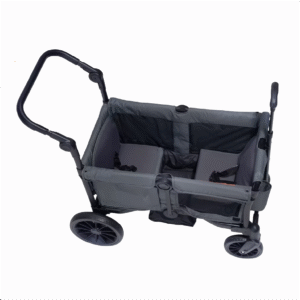 inside the deluxe stroller wagon